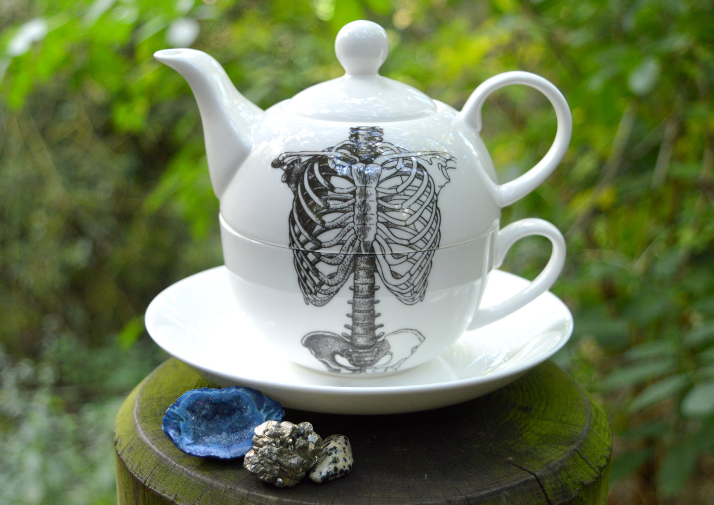 Anatomical Tea For One