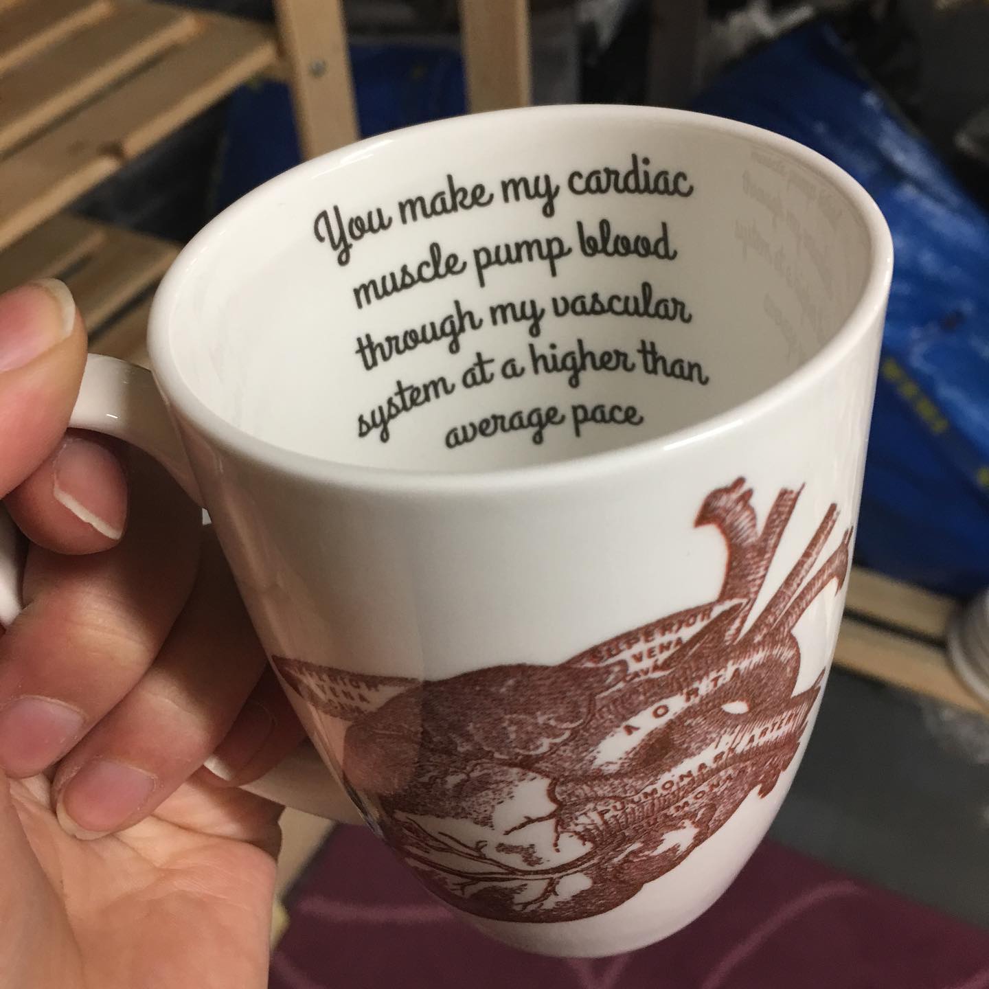 Cardiac Bone China/Stoneware Mug
