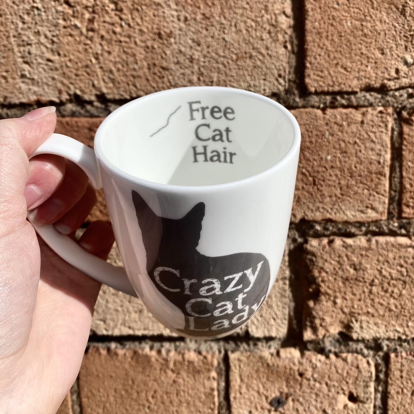 Crazy Cat Lady Bone China/Stoneware Mug