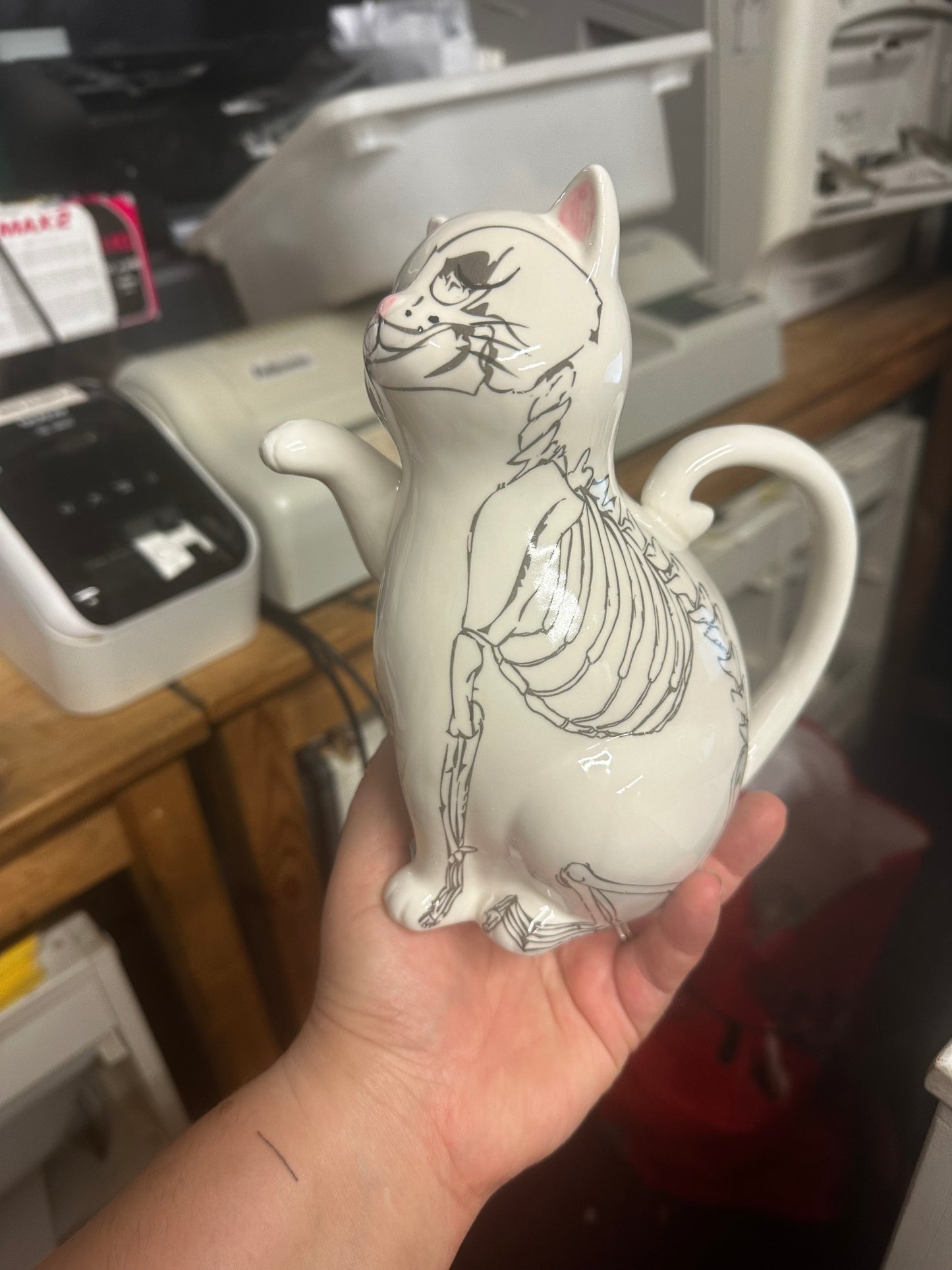 Anatomical Cat Watering Jug