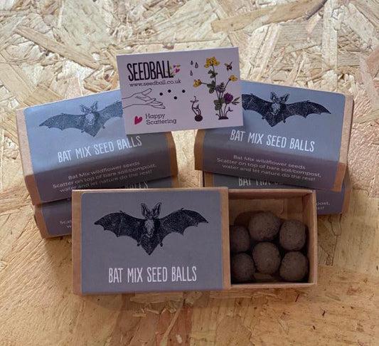 Seedball Bat Mix Matchbox UK ONLY