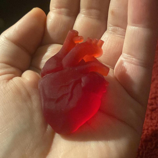 3d Printed Anatomical Heart
