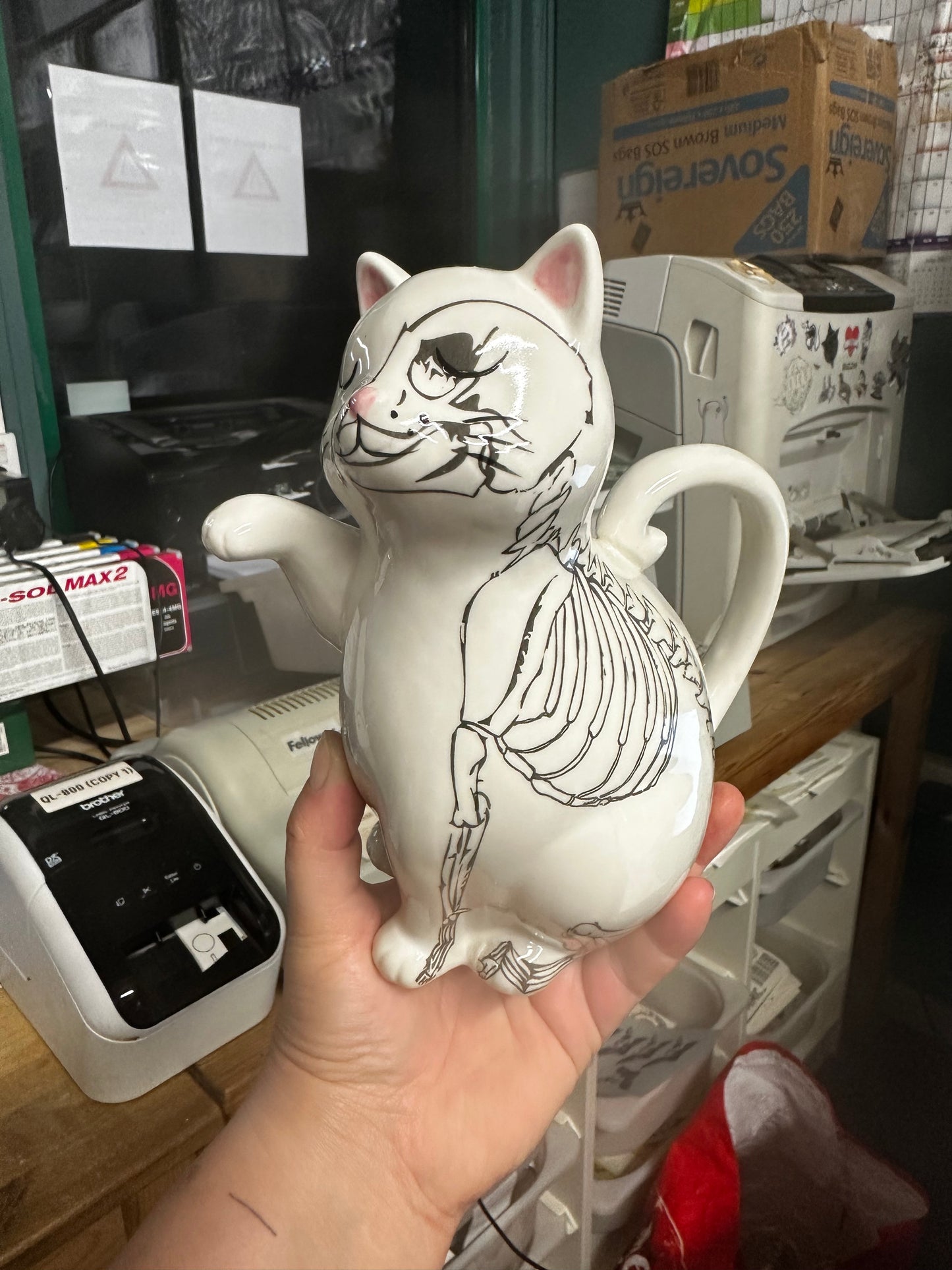 Anatomical Cat Watering Jug