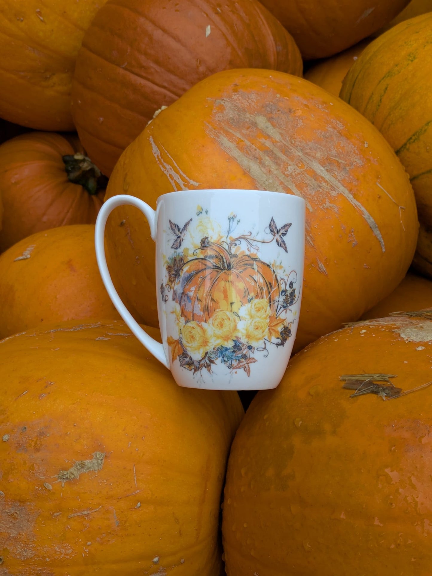 Harvest Pumpkin Bone China/Stoneware Mug
