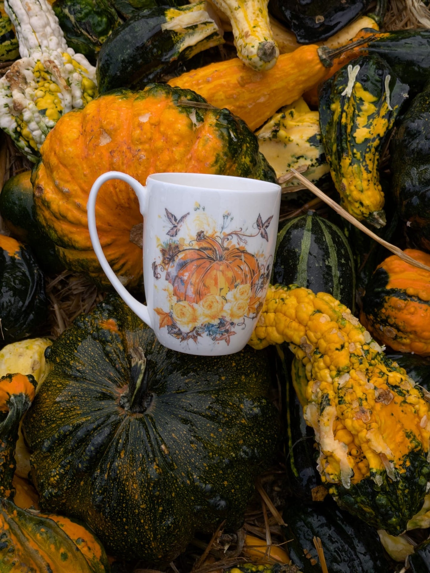 Harvest Pumpkin Bone China/Stoneware Mug