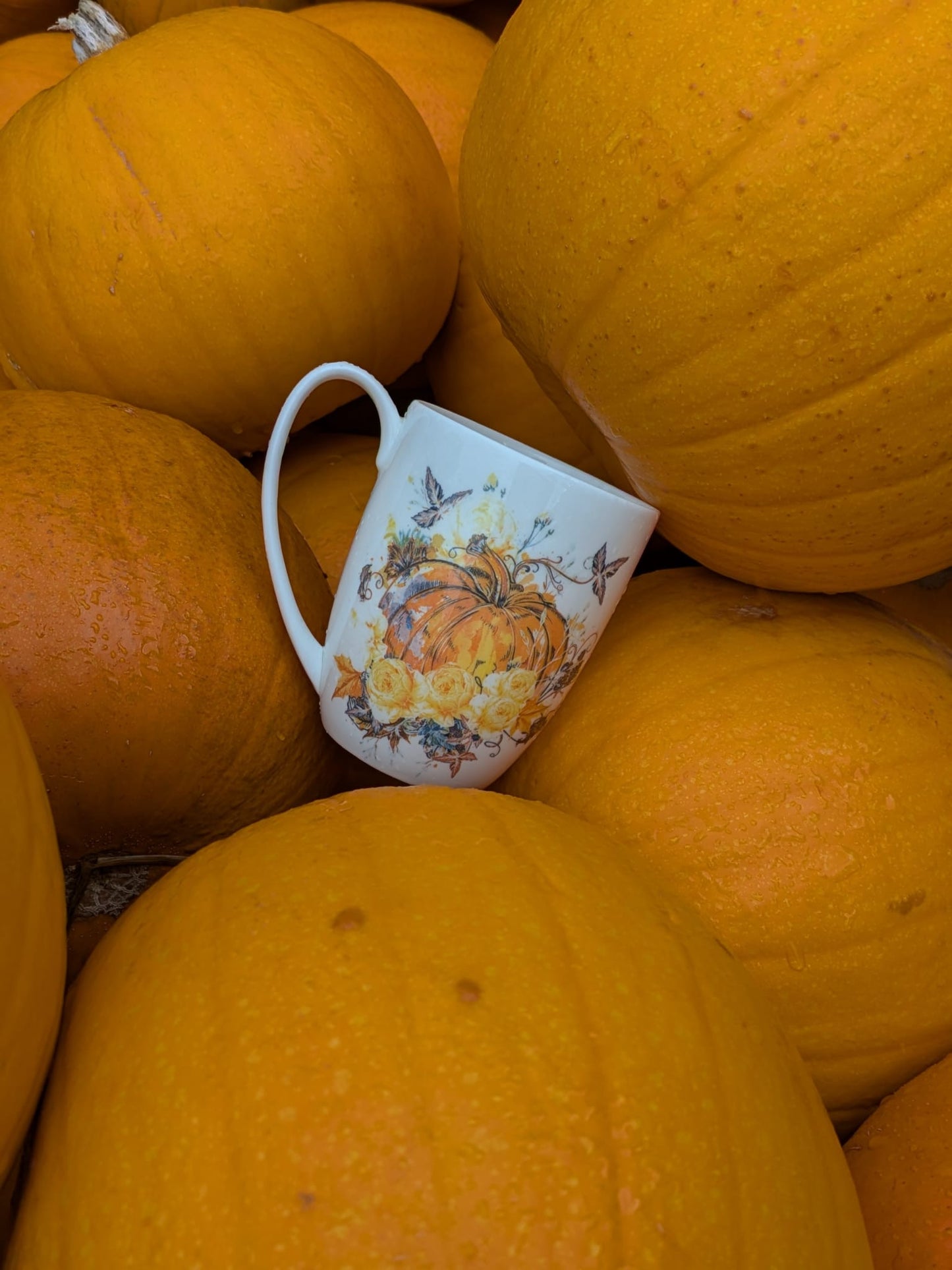Harvest Pumpkin Bone China/Stoneware Mug