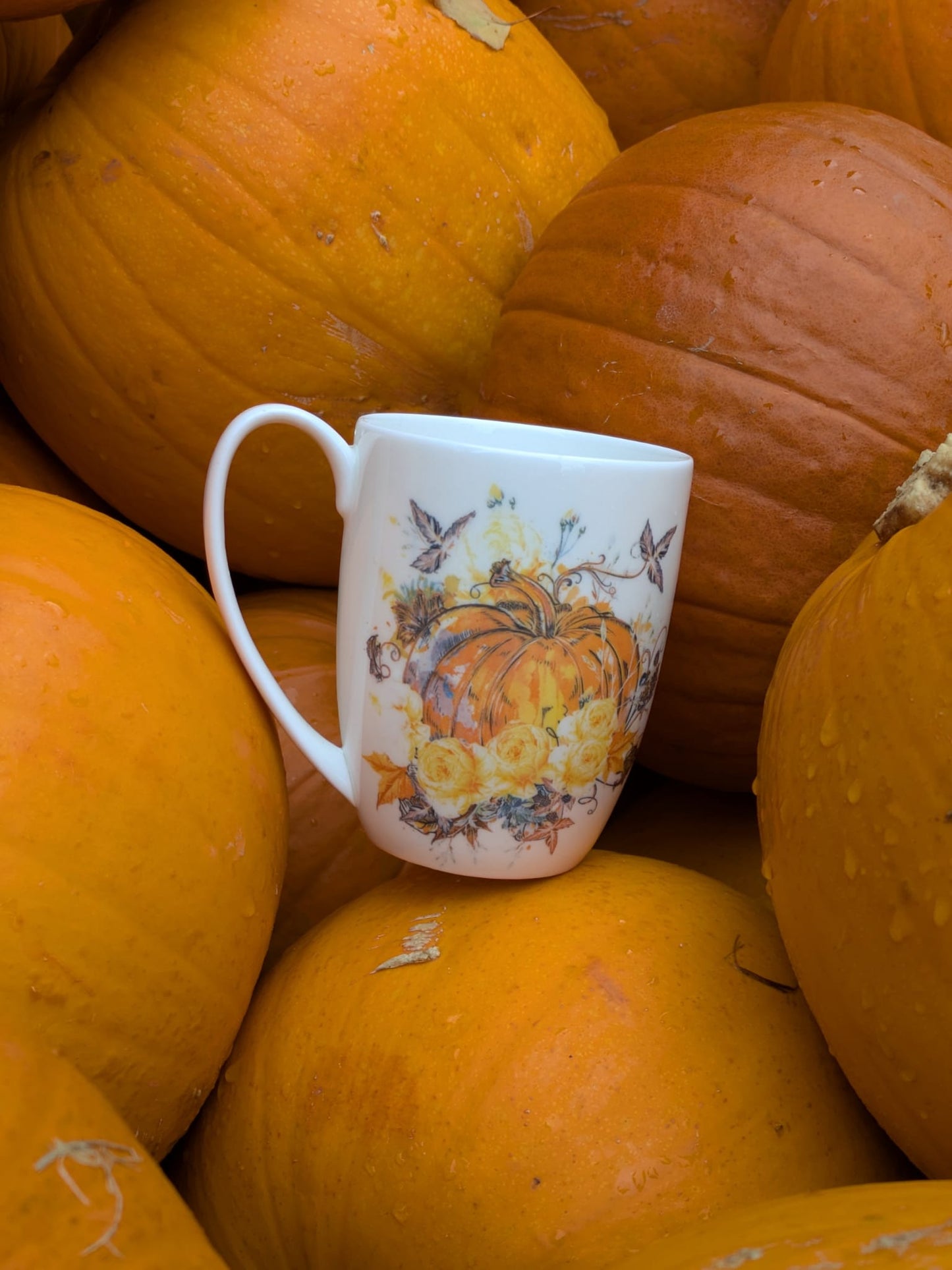 Harvest Pumpkin Bone China/Stoneware Mug