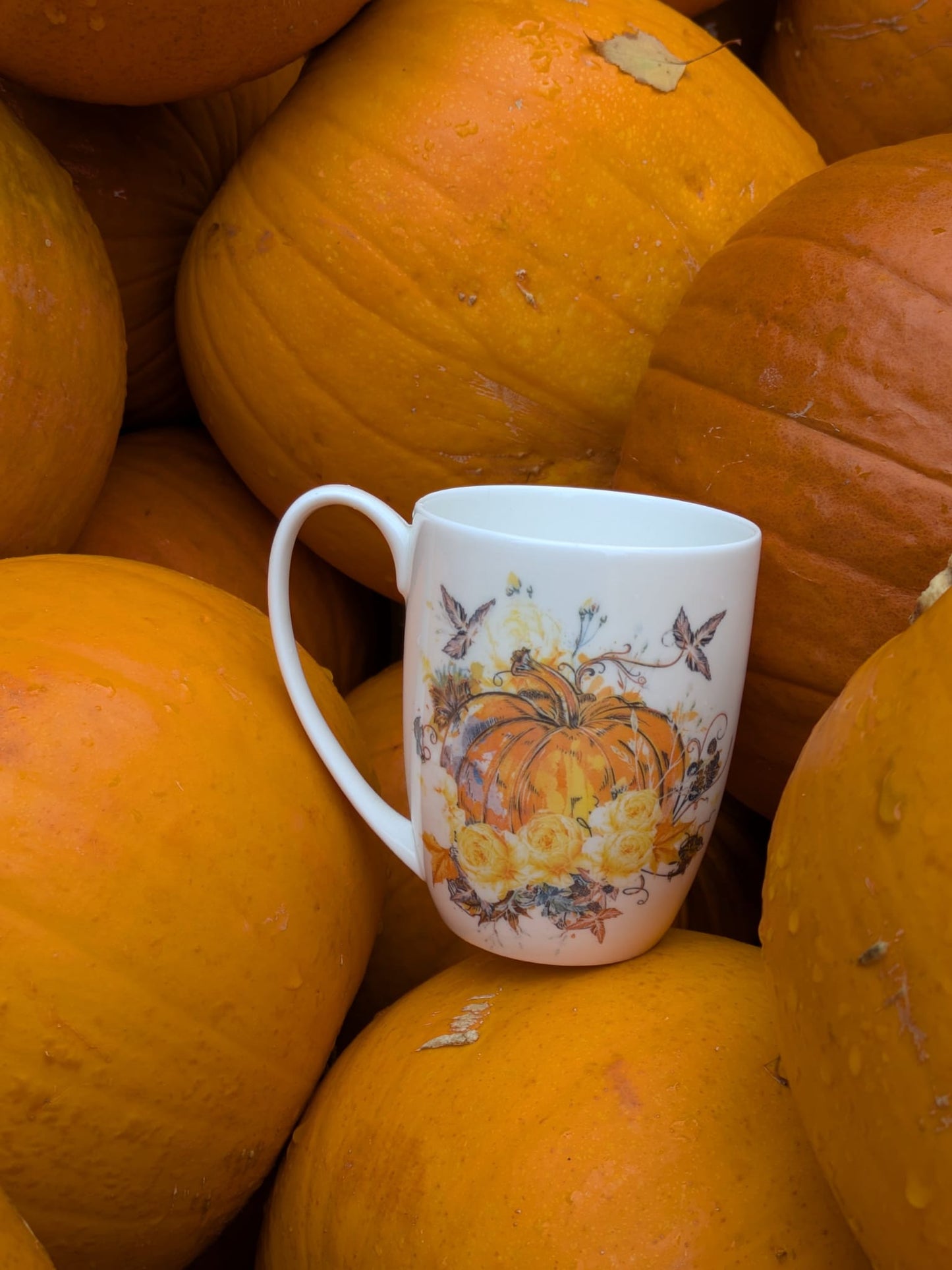 Harvest Pumpkin Bone China/Stoneware Mug