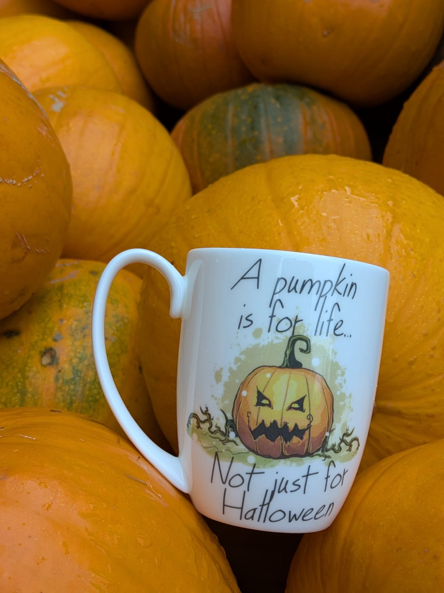 Pumpkin Bone China/Stoneware Mug