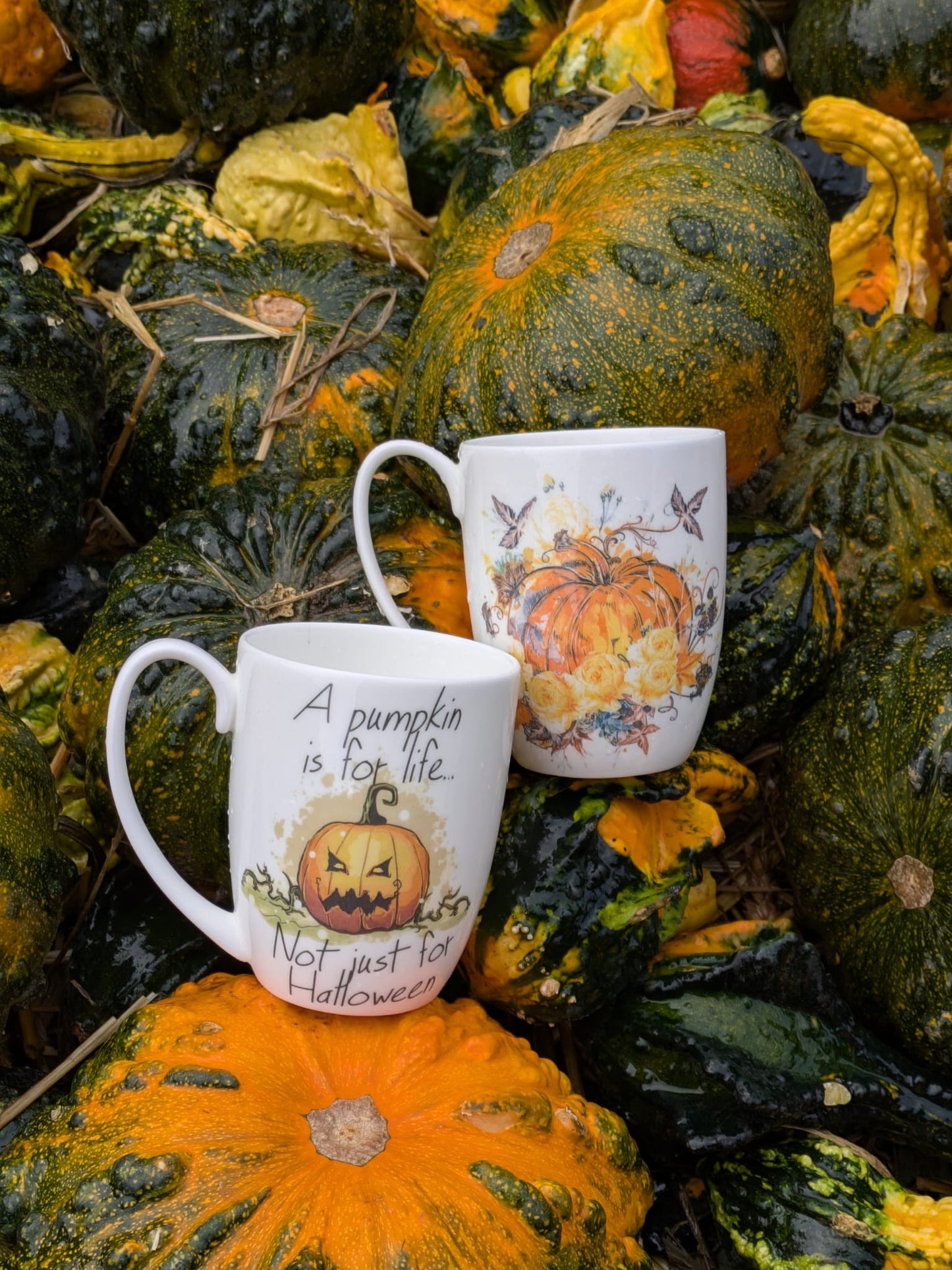 Pumpkin Bone China/Stoneware Mug