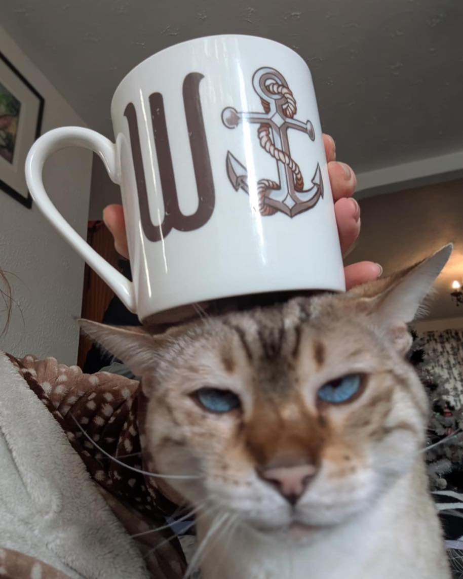 Wanchor Bone China/Stoneware Mug