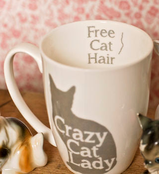 Crazy Cat Lady Bone China/Stoneware Mug