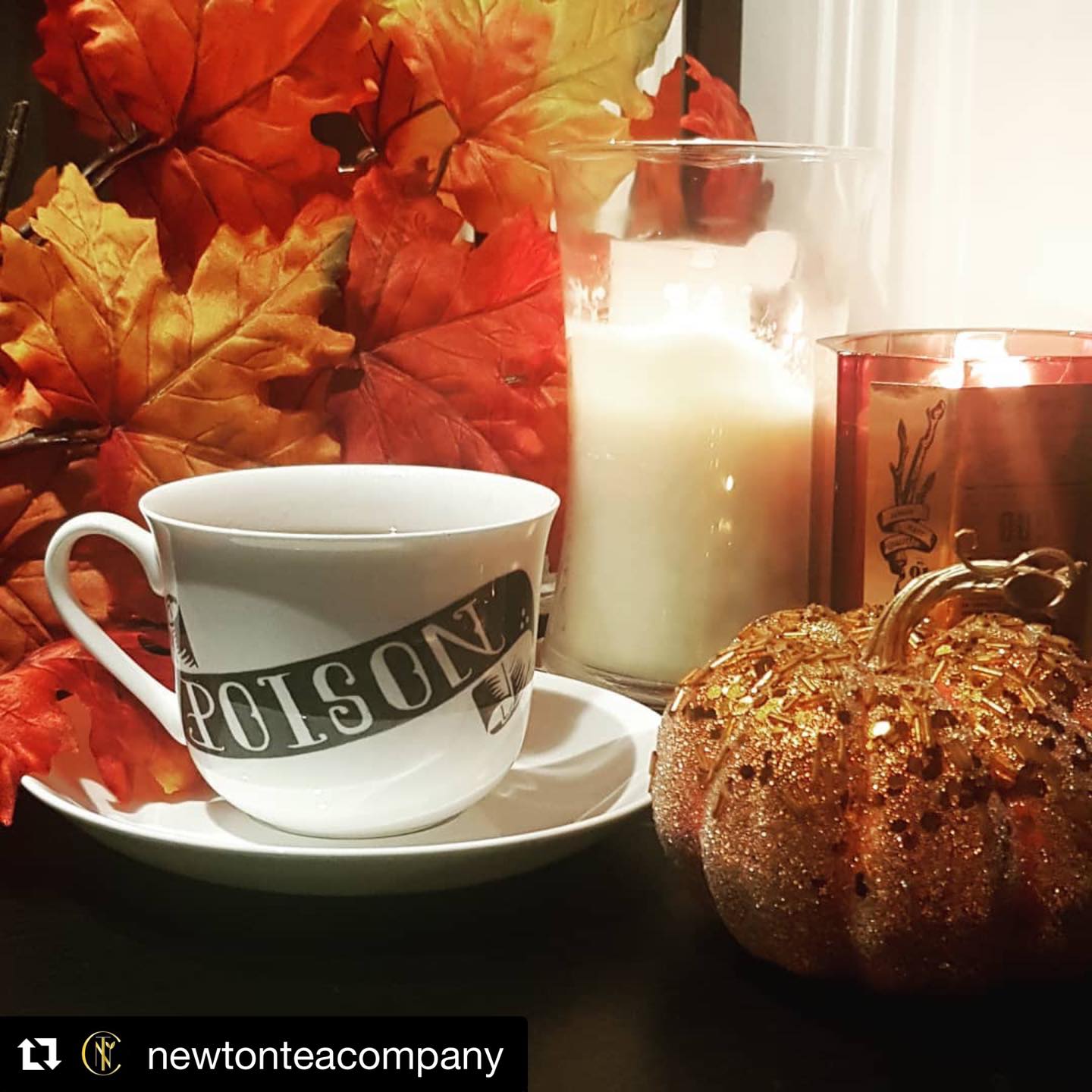 Bone China Cup and Saucer