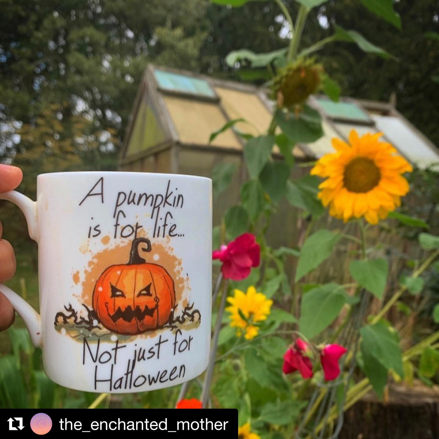 Pumpkin Bone China/Stoneware Mug