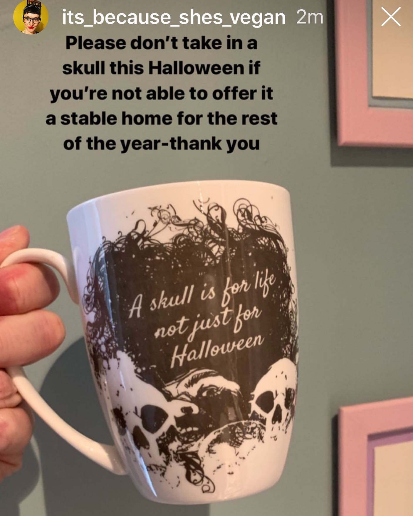 Skull For Life Bone China/Stoneware Mug